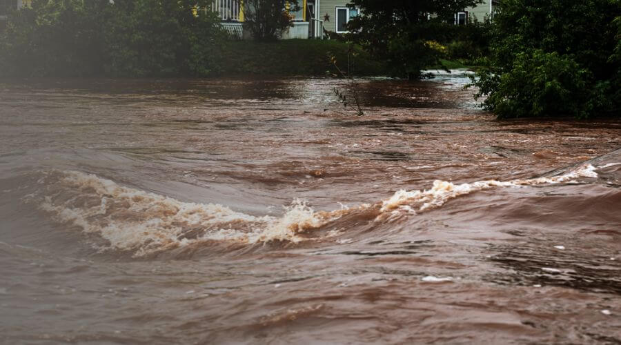 Why choose water damage cleanup for ceiling water damage repair in Hemet